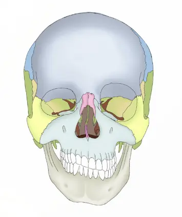 압구정 뷰리플한의원 안면비대칭 얼굴사진
